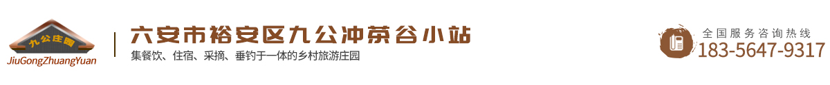 六安市裕安区九公冲茶谷小站