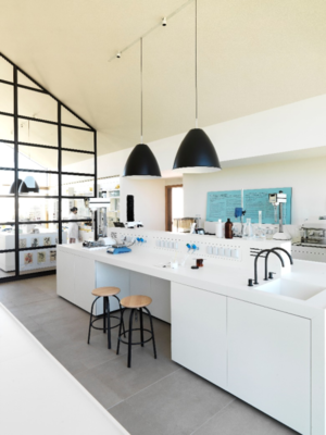 品牌种树、创业者乘凉 选对平台才能轻松躺赢庄园