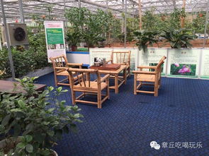 章丘吴家庄园 万亩中草药种植基地助力药材健康产品创新