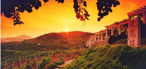 华东葡萄酒庄园 国家级工业旅游示范点的自然与人文之美