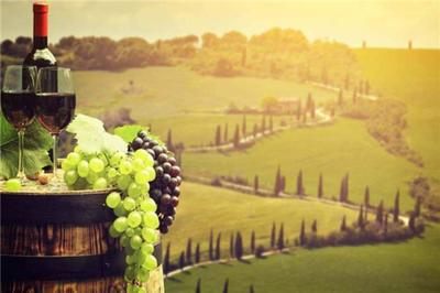 葡萄酒庄园 一隅风土的完美诠释