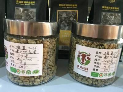 爱伲咖啡 全球共享 普洱国际咖博会和论坛嘉宾走进云南精品咖啡示范庄园爱伲庄园